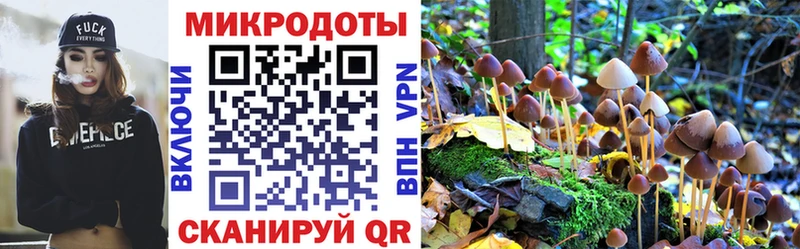Купить закладки  Ликино-Дулёво  Галлюциногенные грибы мухоморы 